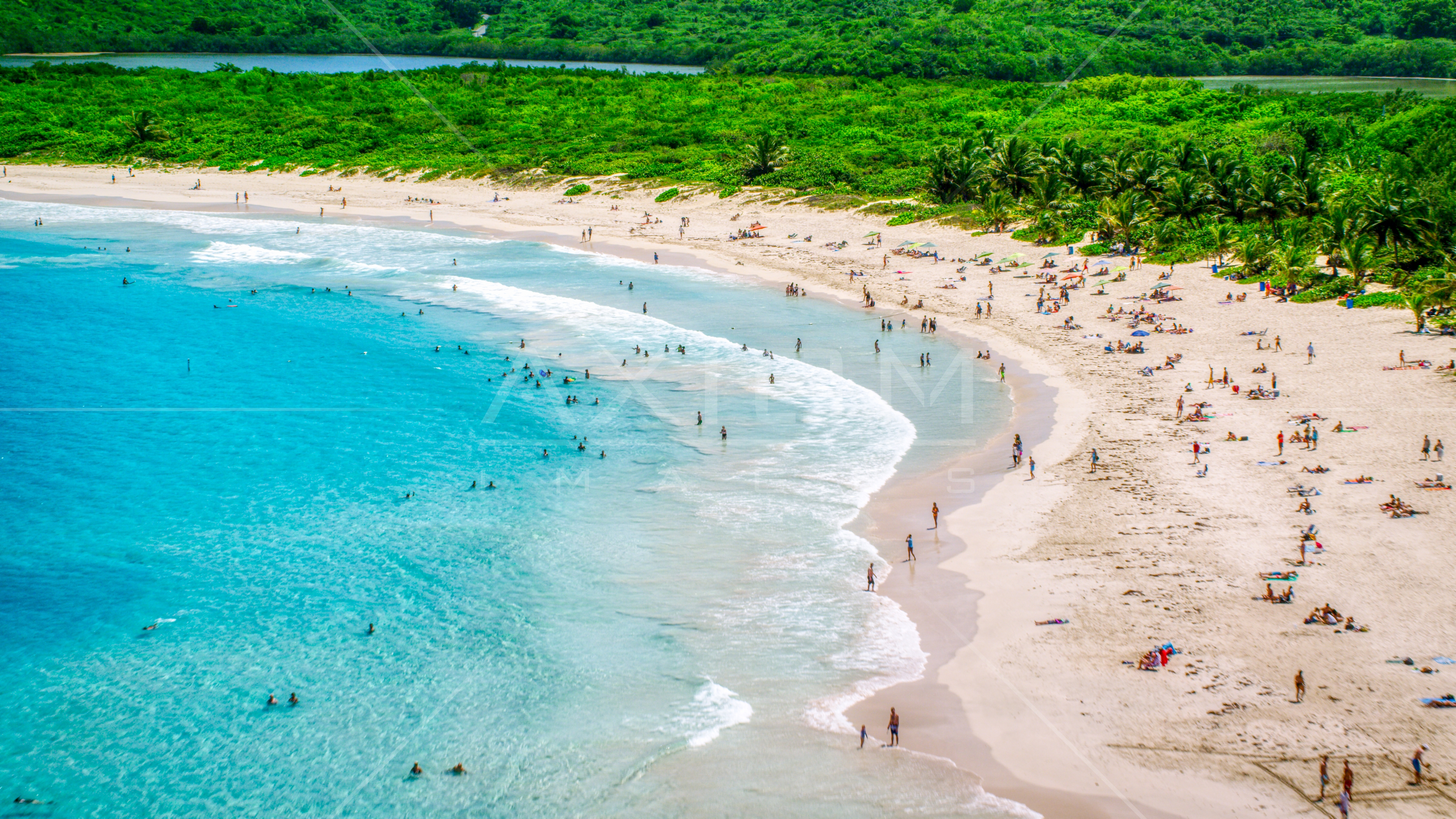 Sunbathers on a white sand Caribbean beach in Culebra, Puerto Rico