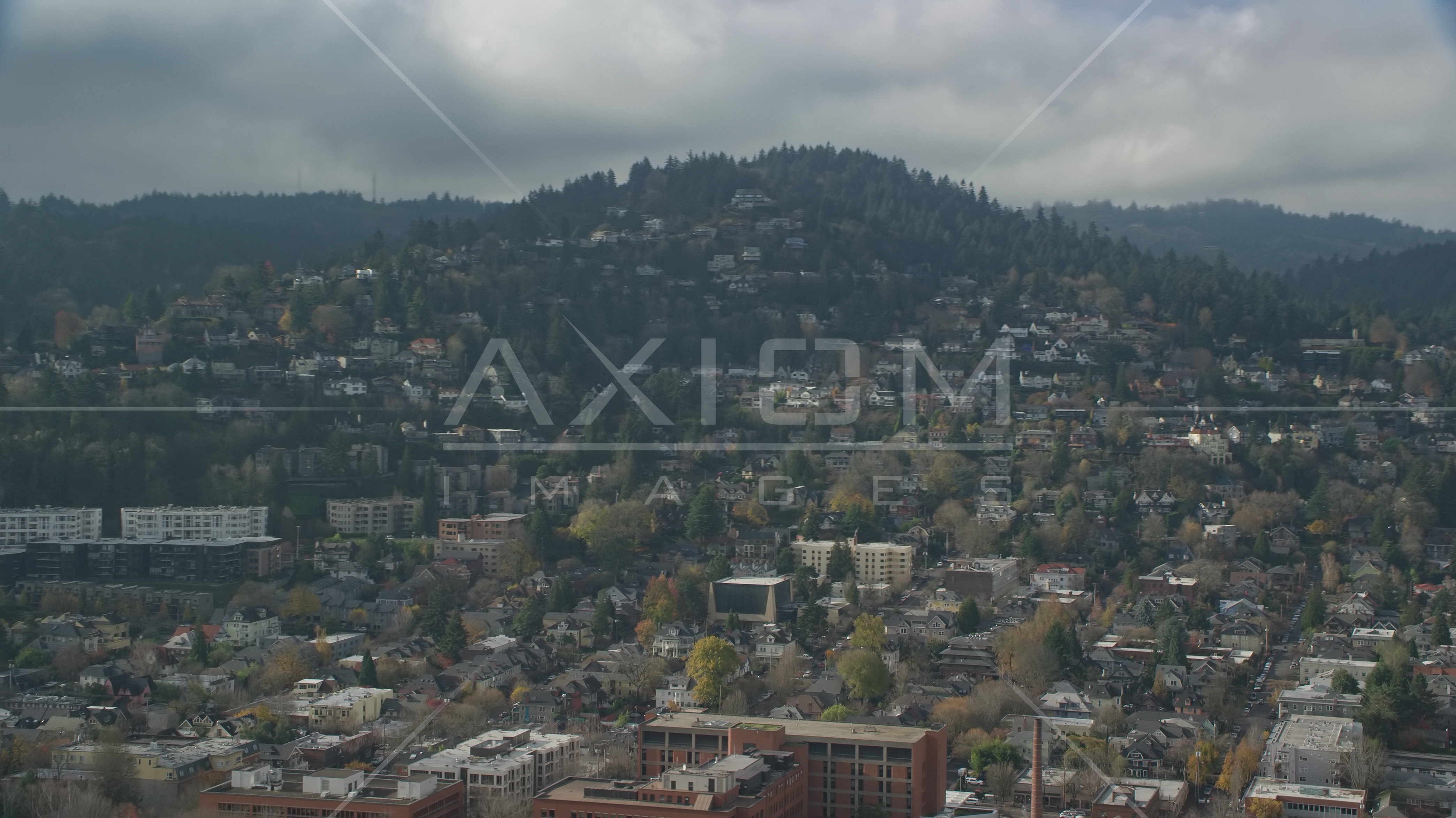 Houses on a hillside in autumn, Portland, Oregon Aerial Stock Photo