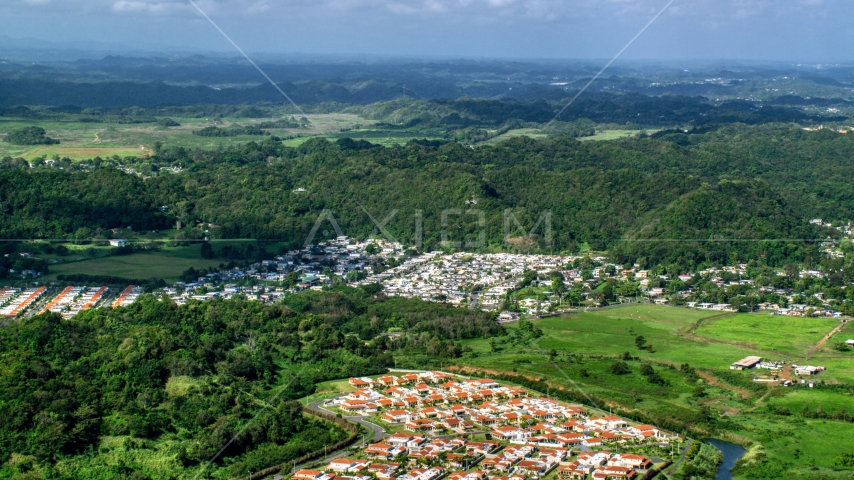 Rural neighborhood beside dense cluster of trees in Dorado, Puerto Rico Aerial Stock Photo AX101_034.0000279F | Axiom Images