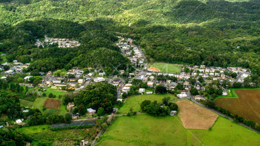 Rural homes and shops among forests, Vega Alta, Puerto Rico Aerial Stock Photo AX101_038.0000000F | Axiom Images