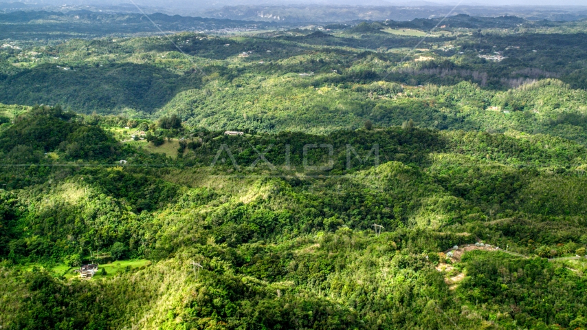 Rural homes partially hidden by tree covered hills, Vega Baja, Puerto Rico Aerial Stock Photo AX101_039.0000000F | Axiom Images