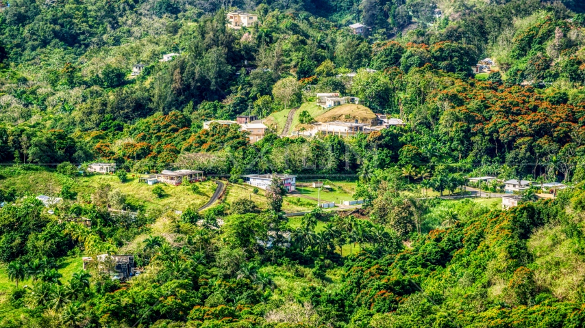 Rural homes in the tree covered hills, Vega Baja, Puerto Rico Aerial Stock Photo AX101_041.0000000F | Axiom Images