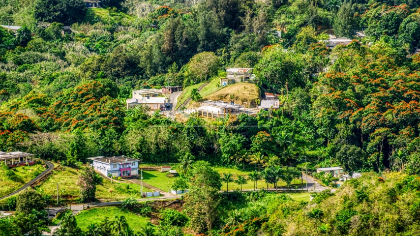 Tree covered hills with rural homes, Vega Baja, Puerto Rico Aerial Stock Photo AX101_042.0000000F | Axiom Images