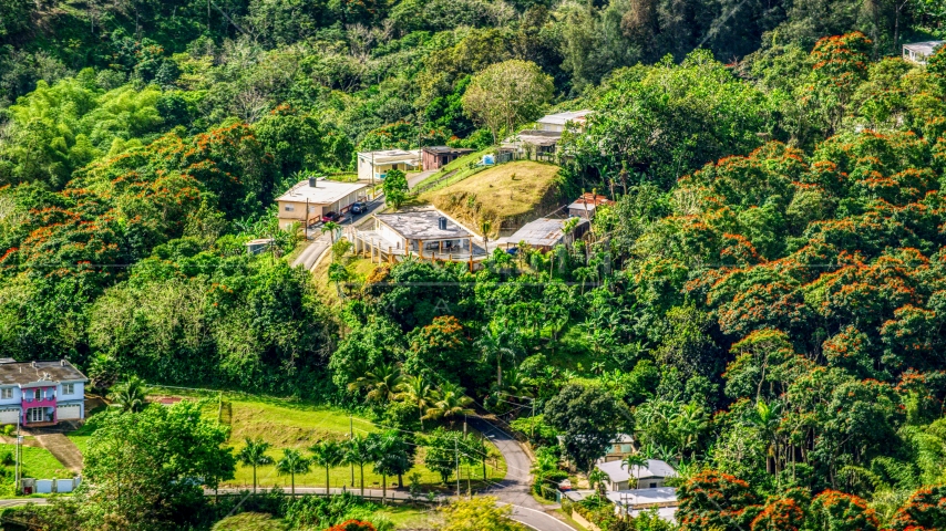 Rural homes by tree-covered hills in Vega Baja, Puerto Rico Aerial Stock Photo AX101_042.0000199F | Axiom Images