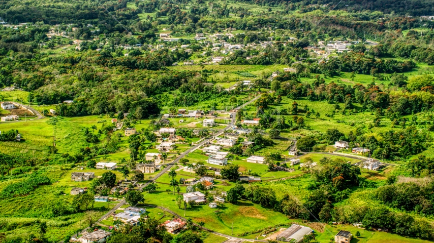 Rural neighborhood with lush green grass and trees, Vega Baja, Puerto Rico Aerial Stock Photo AX101_043.0000000F | Axiom Images