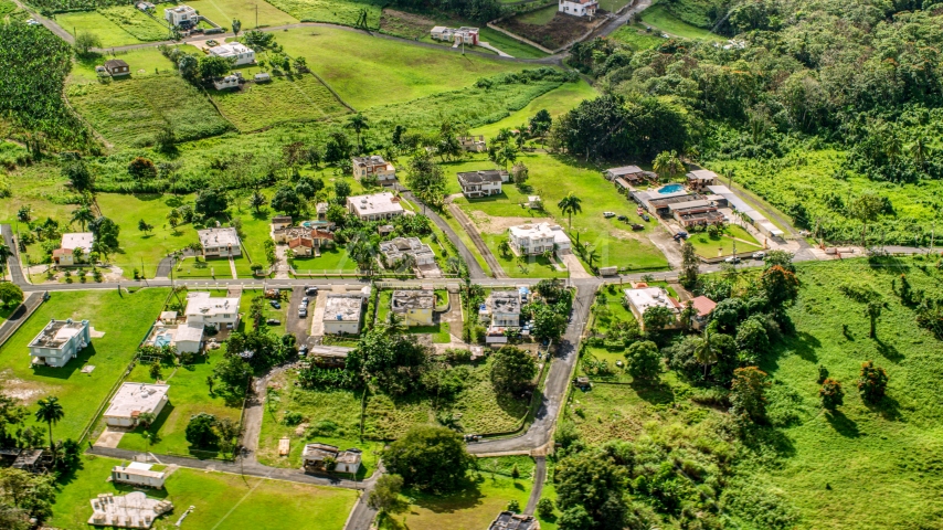 Rural neighborhood with lush green grass and trees, Vega Baja, Puerto Rico Aerial Stock Photo AX101_043.0000368F | Axiom Images