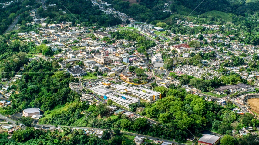 Town surrounded by trees, Ciales, Puerto Rico Aerial Stock Photo AX101_047.0000000F | Axiom Images