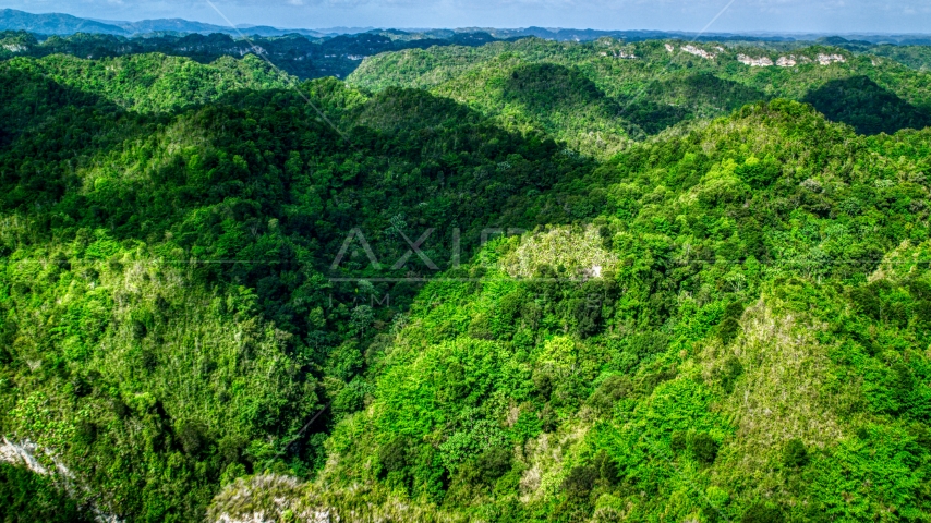 Karst mountains and jungle in Puerto Rico Aerial Stock Photo AX101_051.0000187F | Axiom Images