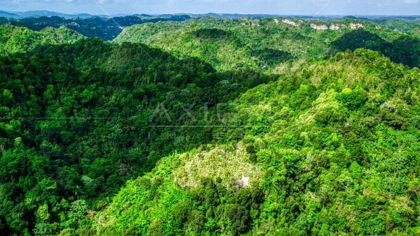 A view of limestone karst mountains covered by jungle, Karst Forest, Puerto Rico Aerial Stock Photo AX101_052.0000000F | Axiom Images