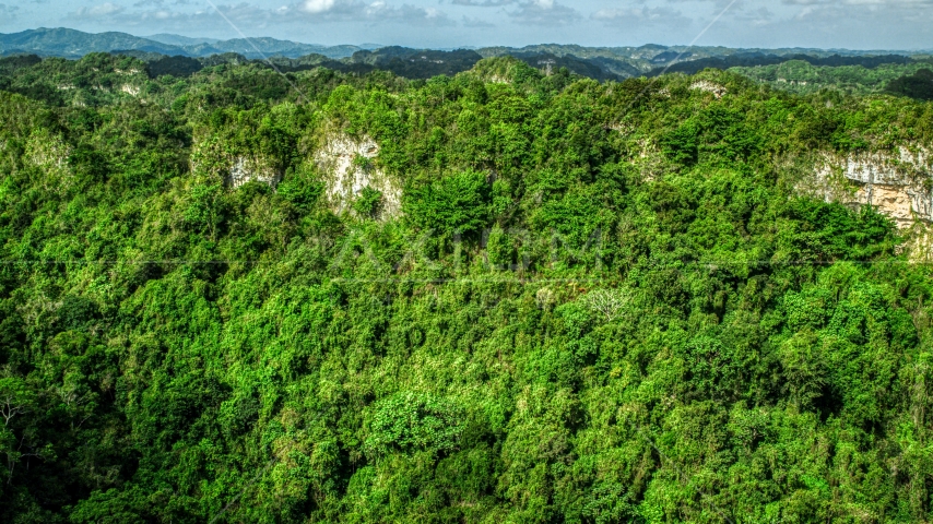 Rocky slope of lush green forests and mountains, Karst Forest, Puerto Rico Aerial Stock Photo AX101_062.0000303F | Axiom Images