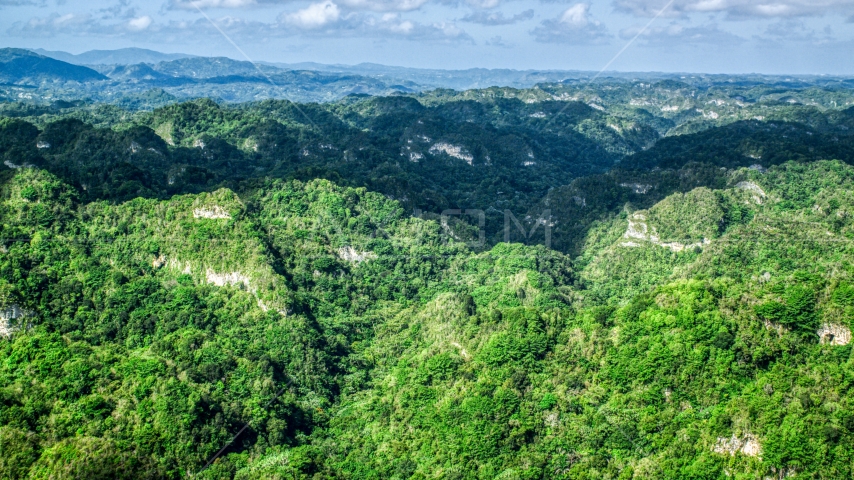 Thick jungle and limestone cliffs in the Karst Forest, Puerto Rico Aerial Stock Photo AX101_063.0000000F | Axiom Images