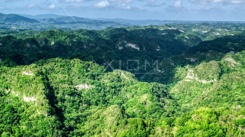 Jungle growth on the limestone cliffs of the karst mountains in the Karst Forest, Puerto Rico Aerial Stock Photo AX101_063.0000152F | Axiom Images
