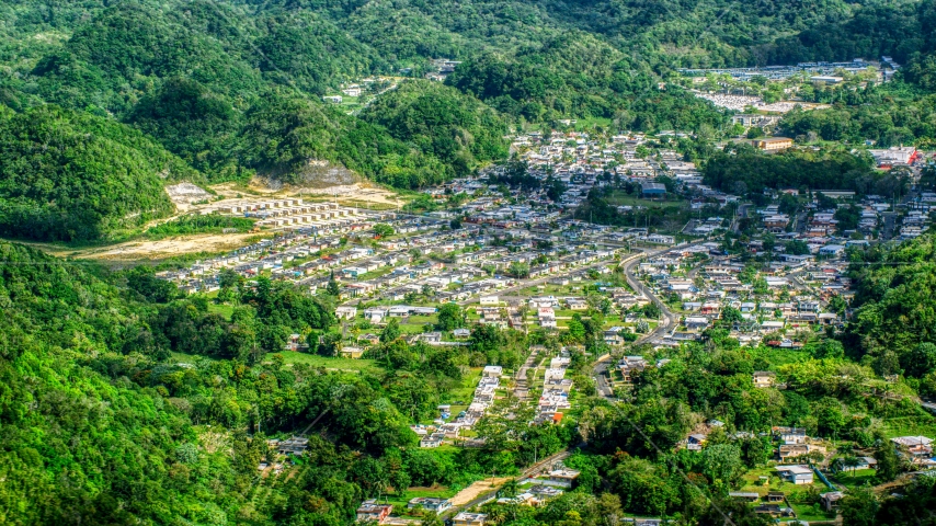Town nestled among lush green trees, Florida, Puerto Rico Aerial Stock Photo AX101_065.0000328F | Axiom Images