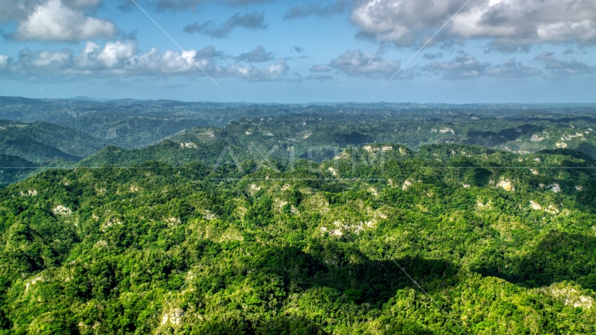 Limestone cliffs and lush green jungle, Karst Forest, Puerto Rico Aerial Stock Photo AX101_068.0000000F | Axiom Images