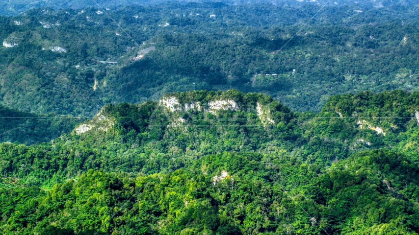 Limestone cliffs with lush green jungle growth in the Karst Forest, Puerto Rico Aerial Stock Photo AX101_069.0000000F | Axiom Images