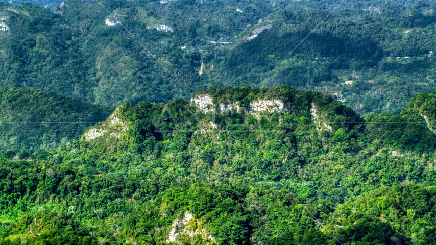 Limestone cliffs visible through jungle growth in the Karst Forest, Puerto Rico Aerial Stock Photo AX101_069.0000189F | Axiom Images