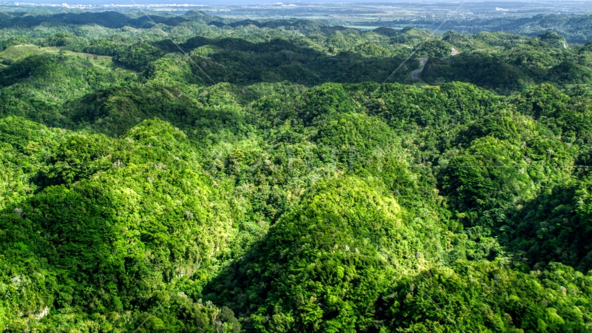 Green jungle covering karst mountains in the Karst Forest, Puerto Rico Aerial Stock Photo AX101_074.0000160F | Axiom Images