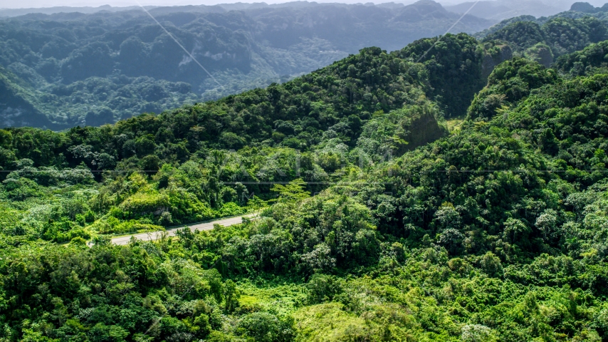 Highway through jungle in the Karst Forest, Puerto Rico Aerial Stock Photo AX101_077.0000000F | Axiom Images