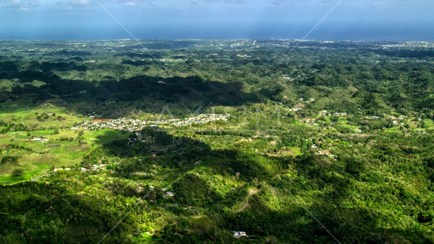 Rural homes situated among lush green trees in Karst mountains, Arecibo, Puerto Rico Aerial Stock Photo AX101_124.0000000F | Axiom Images