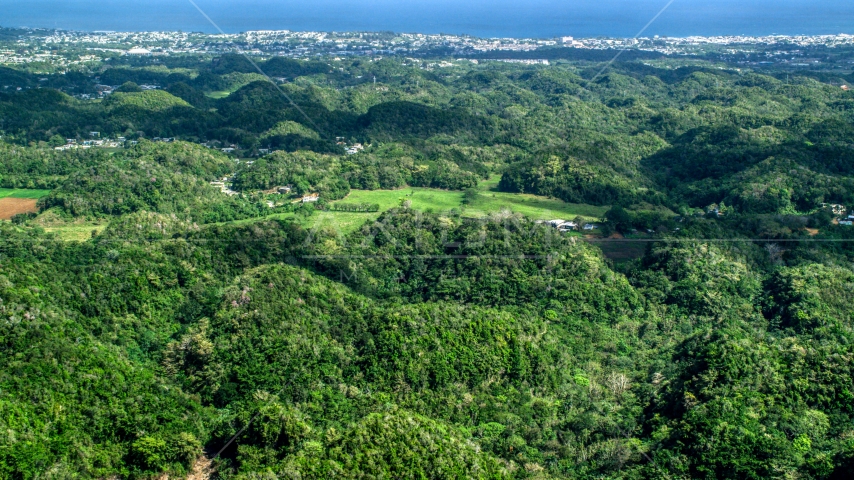 Tree covered hills and rural homes near the coast, Arecibo, Puerto Rico Aerial Stock Photo AX101_128.0000000F | Axiom Images
