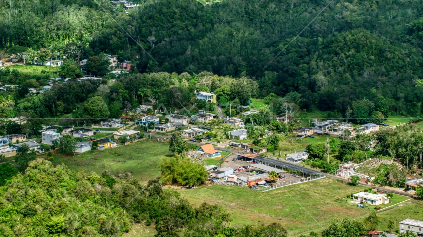A group of rural homes surrounded by trees, Arecibo, Puerto Rico Aerial Stock Photo AX101_130.0000000F | Axiom Images