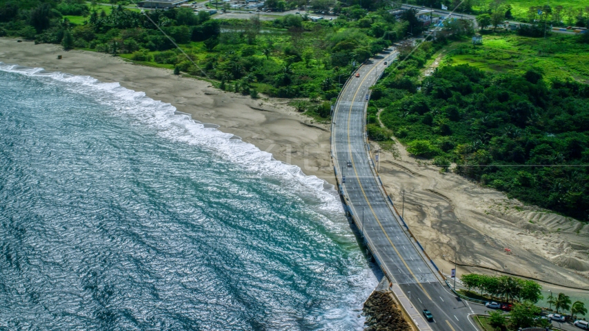 Coastal road cutting through trees and over a beach by blue water, Arecibo, Puerto Rico Aerial Stock Photo AX101_140.0000000F | Axiom Images