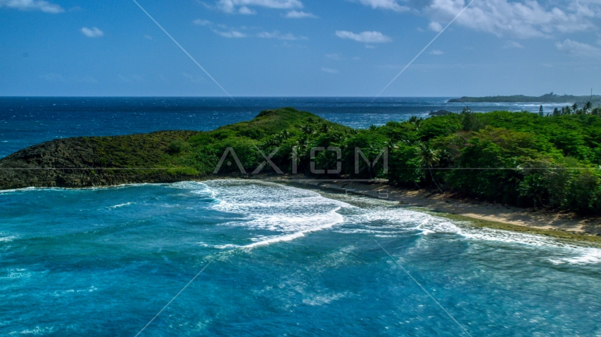 Waves rolling in toward the tree-lined coast of Arecibo, Puerto Rico Aerial Stock Photo AX101_154.0000043F | Axiom Images