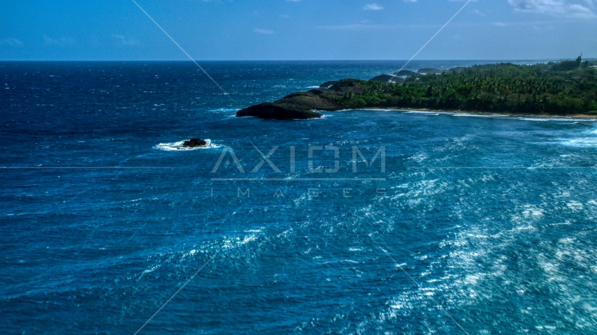 Clear blue water beside a tree-lined coast, Arecibo, Puerto Rico Aerial Stock Photo AX101_159.0000111F | Axiom Images