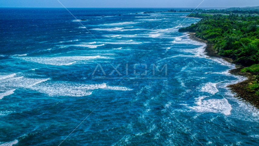 Waves rolling in toward a tree-lined Caribbean island coastline in Vega Baja, Puerto Rico Aerial Stock Photo AX101_197.0000207F | Axiom Images