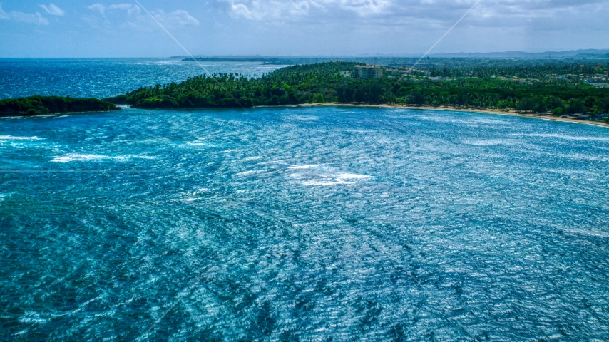 A tree-lined Caribbean island beach on the coast in Vega Alta, Puerto Rico Aerial Stock Photo AX101_209.0000000F | Axiom Images