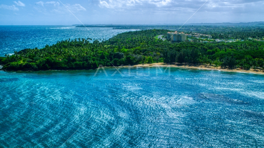 Palm trees and beach on a Caribbean island coast in Vega Alta, Puerto Rico Aerial Stock Photo AX101_209.0000258F | Axiom Images