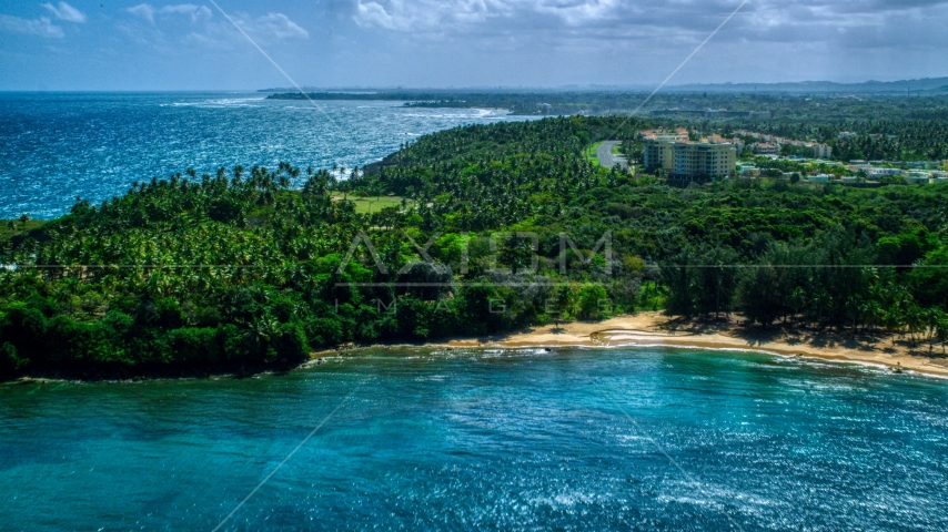 Palm tree covered Caribbean island beach in Vega Alta, Puerto Rico Aerial Stock Photo AX101_210.0000000F | Axiom Images