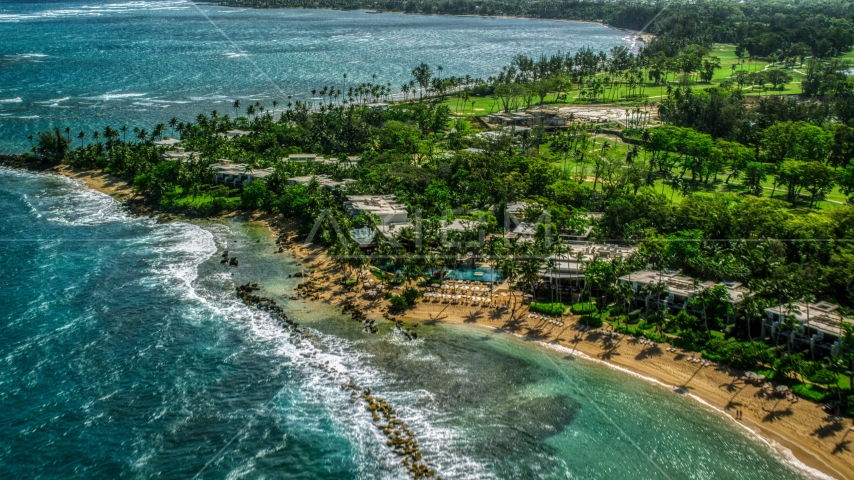A Caribbean island resort and palm trees by the beach in Dorado, Puerto Rico Aerial Stock Photo AX101_214.0000182F | Axiom Images