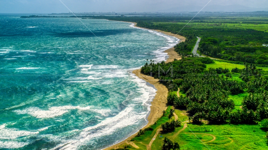 An island beach and palm trees in the Caribbean, Dorado, Puerto Rico Aerial Stock Photo AX101_220.0000234F | Axiom Images