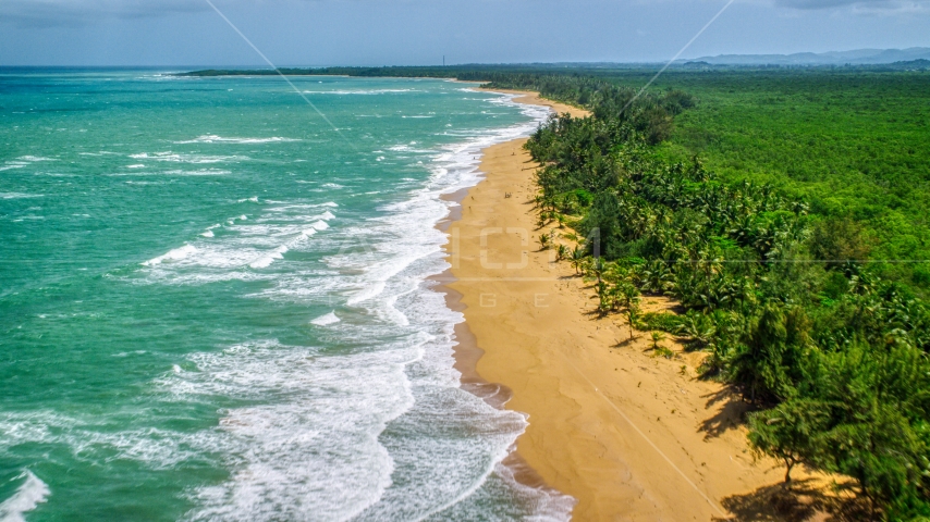 Waves rolling toward a tree lined Caribbean island beach, Loiza, Puerto Rico Aerial Stock Photo AX102_021.0000000F | Axiom Images
