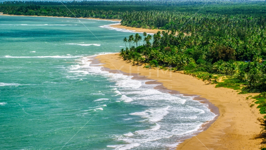 A couple on a palm tree lined island beach with turquoise waters, Loiza, Puerto Rico Aerial Stock Photo AX102_023.0000000F | Axiom Images