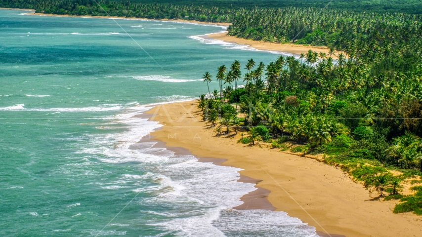 A couple walking a palm tree lined Caribbean beach with turquoise waters, Loiza, Puerto Rico Aerial Stock Photos AX102_023.0000110F | Axiom Images