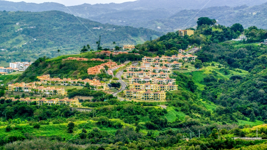 Condos on a tree covered hillside, Rio Grande, Puerto Rico Aerial Stock Photo AX102_044.0000000F | Axiom Images