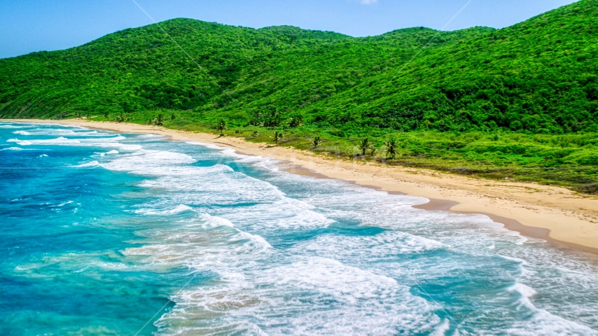 Turquoise blue waters along a Caribbean beach and lush vegetative coast, Culebra, Puerto Rico Aerial Stock Photo AX102_117.0000000F | Axiom Images