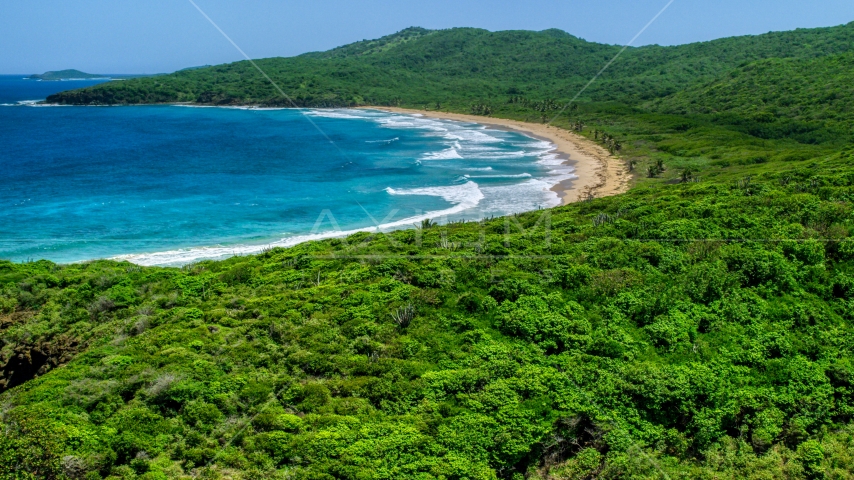 Tropical vegetation around a beach and blue waters in Culebra, Puerto Rico Aerial Stock Photo AX102_121.0000000F | Axiom Images