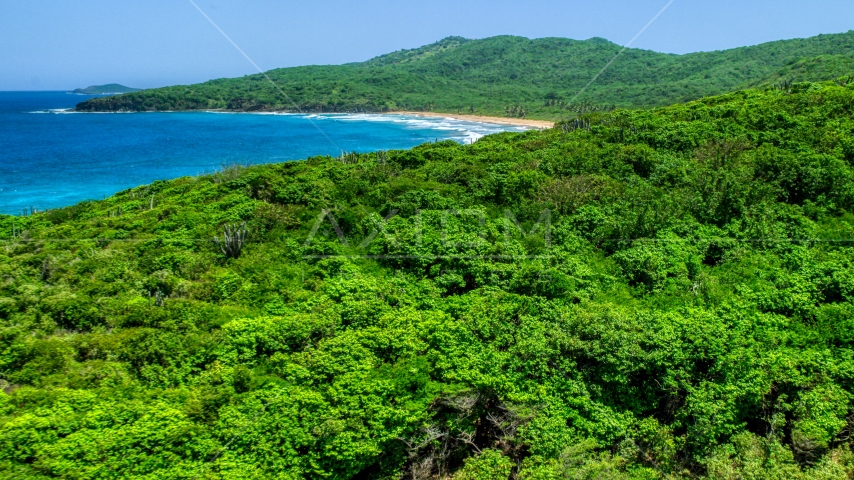Coastal vegetation and sapphire blue waters, Culebra, Puerto Rico Aerial Stock Photo AX102_121.0000158F | Axiom Images