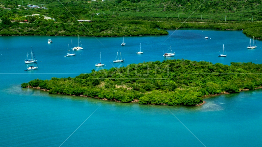 Group of sail boats in sapphire blue waters by tree covered coasts, Culebra, Puerto Rico Aerial Stock Photo AX102_141.0000223F | Axiom Images