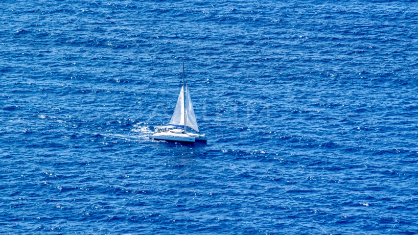 catamaran sailing on the ocean