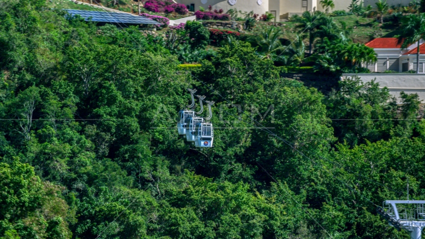 Gondolas above trees near hillside homes, Charlotte Amalie, St. Thomas, US Virgin Islands Aerial Stock Photo AX102_211.0000226F | Axiom Images