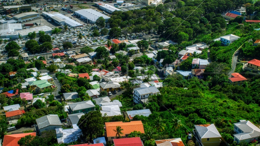 Hillside homes among trees in Charlotte Amalie, St Thomas, US Virgin Islands Aerial Stock Photo AX102_218.0000149F | Axiom Images