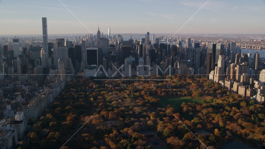 Central Park trees with autumn leaves beside Midtown skyscrapers at sunrise in New York City Aerial Stock Photos AX118_194.0000163F