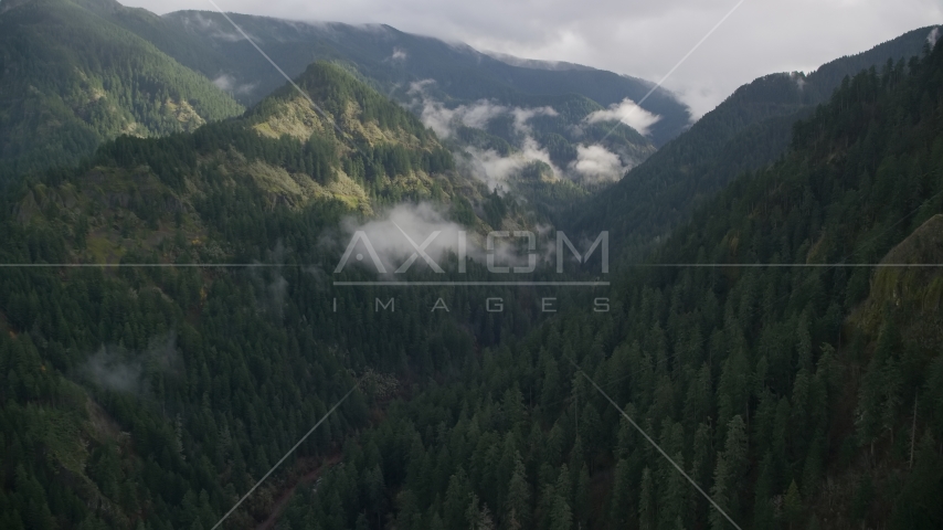 The Eagle Creek Trail canyon in Cascade Range, Hood River County, Oregon Aerial Stock Photos AX154_041.0000122F