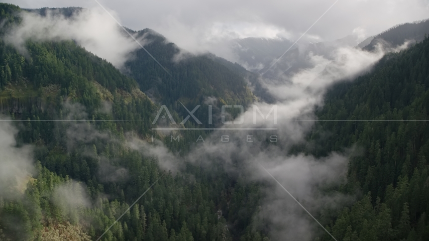 Eagle Creek Trail through a wooded canyon in the Cascade Range, Hood River County, Oregon Aerial Stock Photos AX154_045.0000229F