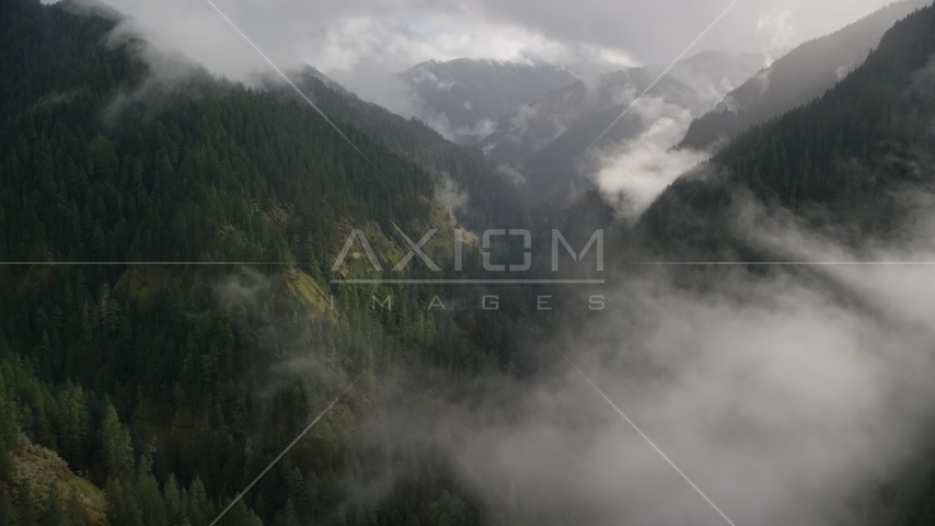 Misty clouds over Eagle Creek Trail in the Cascade Range, Hood River County, Oregon Aerial Stock Photos AX154_046.0000331F | Axiom Images