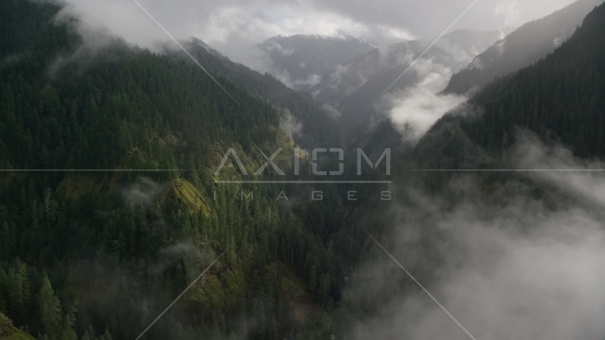 The Eagle Creek Trail and canyon in Cascade Range, Hood River County, Oregon Aerial Stock Photos AX154_047.0000000F